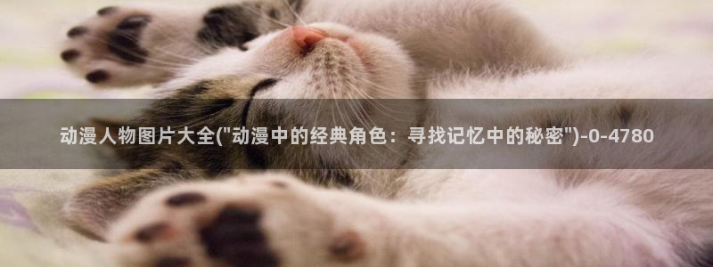 风之动漫