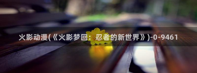 全职高手动漫免费观看：火影动漫(《火影梦回：忍者的新世界》)