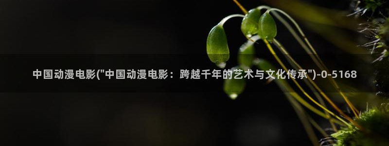 斗罗大陆动漫在线观看：中国动漫电影(\