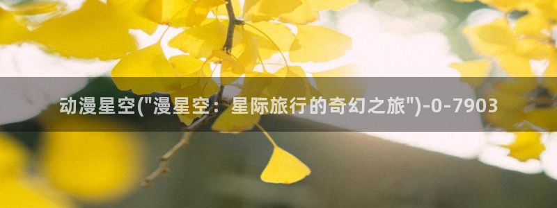 全职高手动漫免费观看