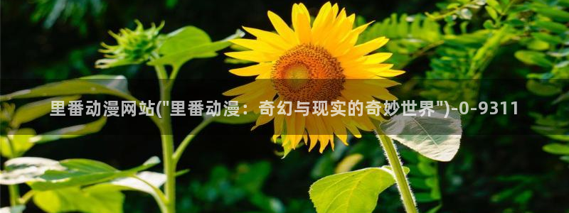 动漫照片