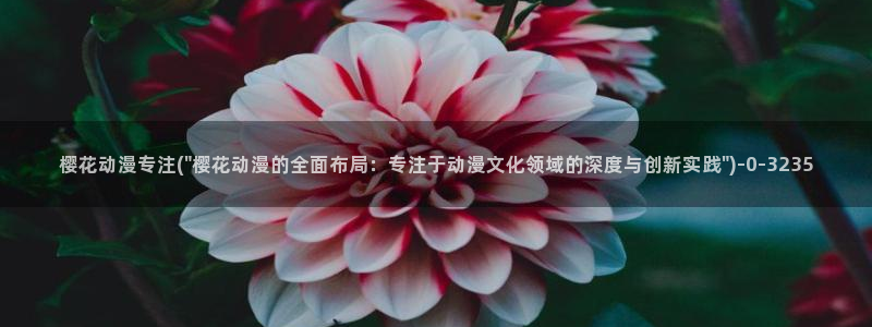 里番动漫