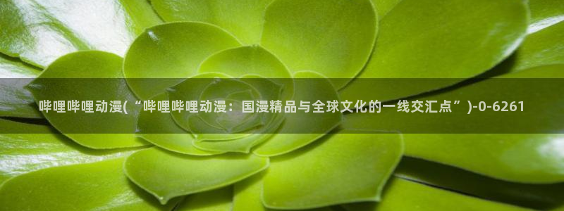 斗罗大陆2绝世唐门动漫免费观看