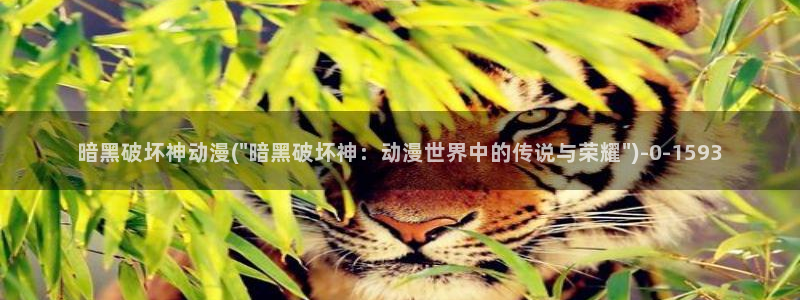 星星动漫网