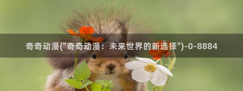 18禁动漫